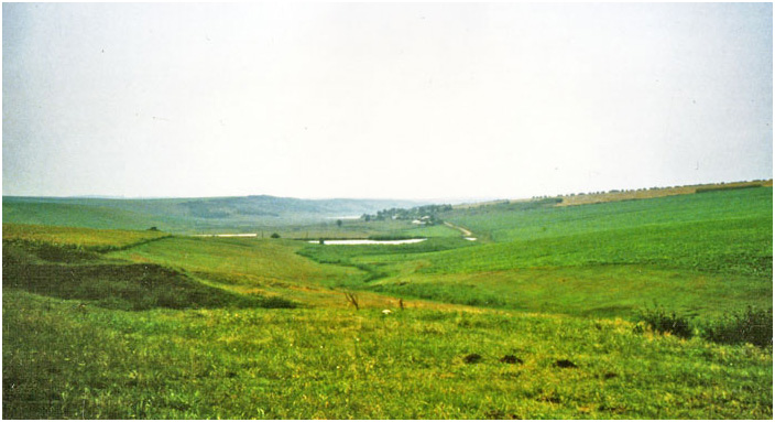 Bild "Scholtoi1988-01.jpg"