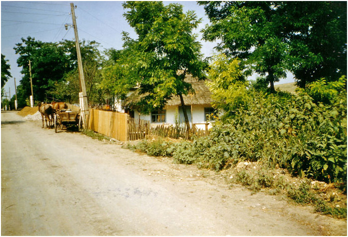 Bild "Scholtoi1988-04.jpg"