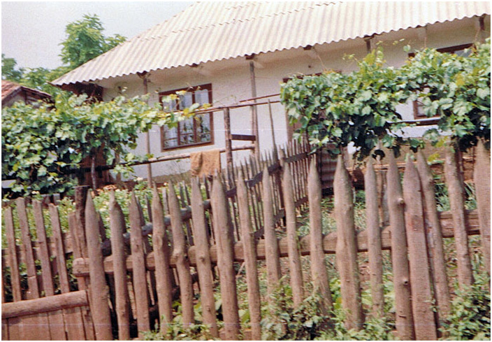 Bild "Scholtoi1990-20.jpg"