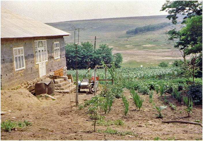 Bild "Scholtoi1990-22.jpg"