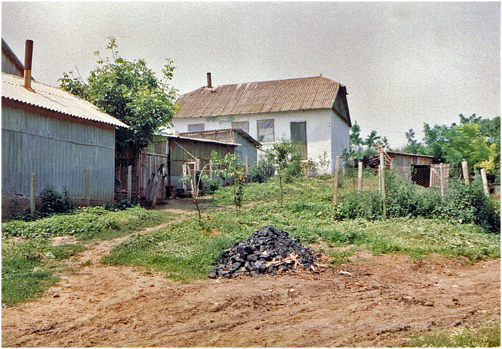 Bild "Scholtoi1990-23.jpg"