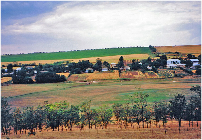 Bild "Scholtoi1993-06.jpg"