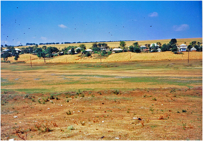 Bild "Scholtoi1993-09.jpg"