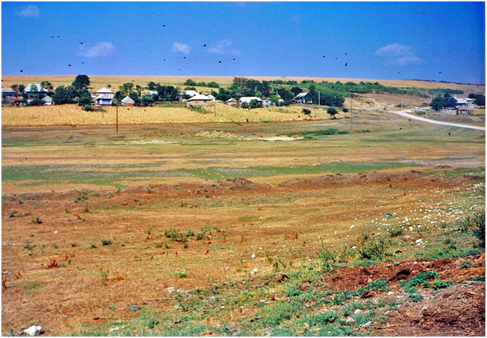 Bild "Scholtoi1993-10.jpg"