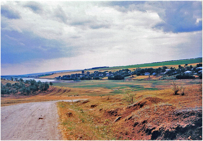 Bild "Scholtoi1993-14.jpg"