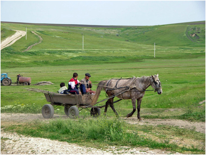 Bild "Scholtoi2008-04.jpg"