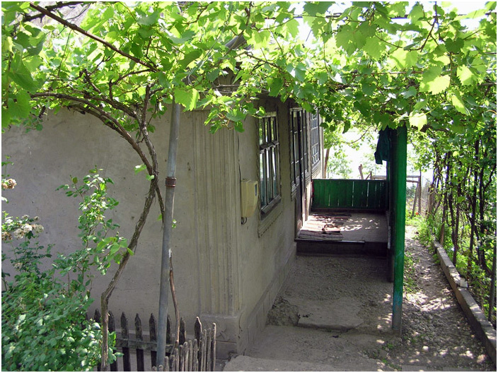 Bild "Scholtoi2008-19.jpg"