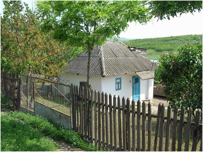 Bild "Scholtoi2008-24.jpg"