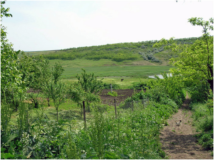 Bild "Scholtoi2008-26.jpg"