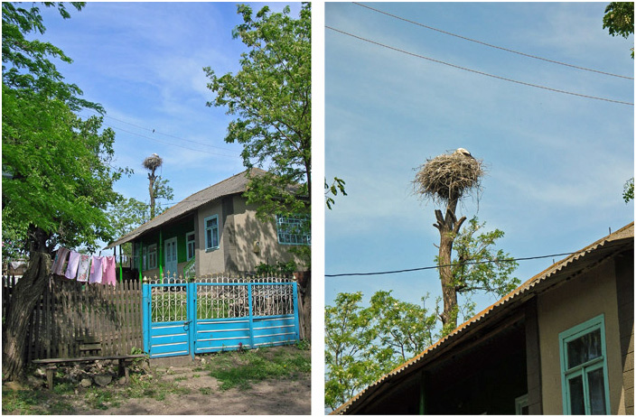 Bild "Scholtoi2008-27.jpg"