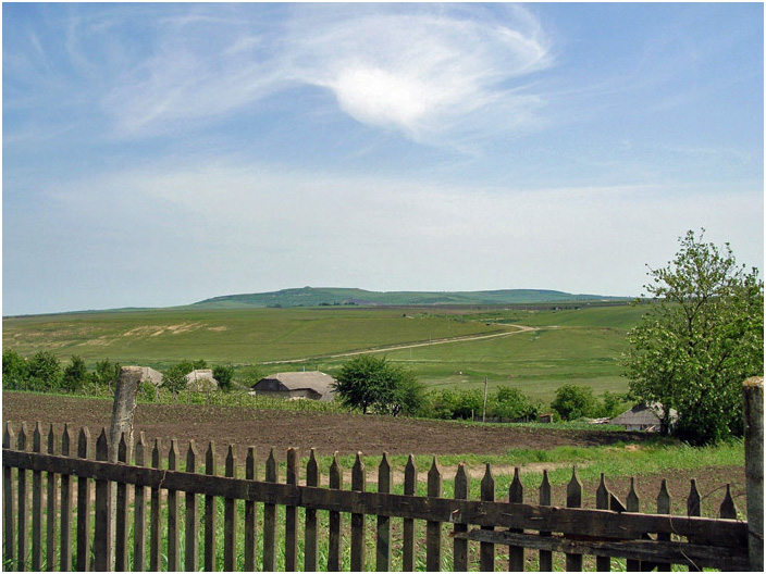 Bild "Scholtoi2008-33.jpg"