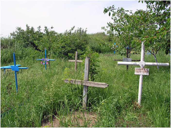 Bild "Scholtoi2008-35.jpg"