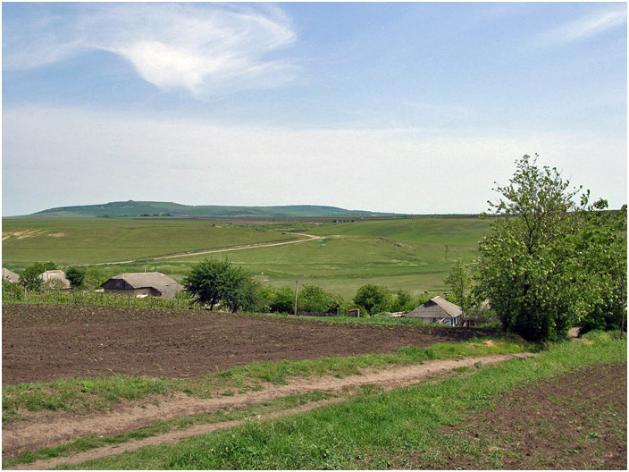 Bild "Scholtoi2008-38.jpg"