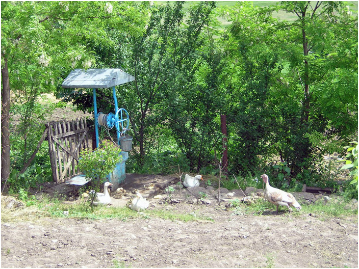 Bild "Scholtoi2008-39.jpg"