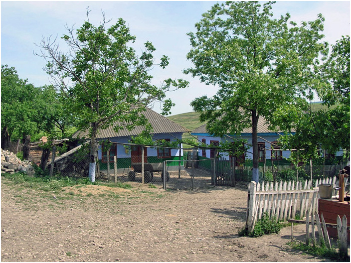 Bild "Scholtoi2008-40.jpg"