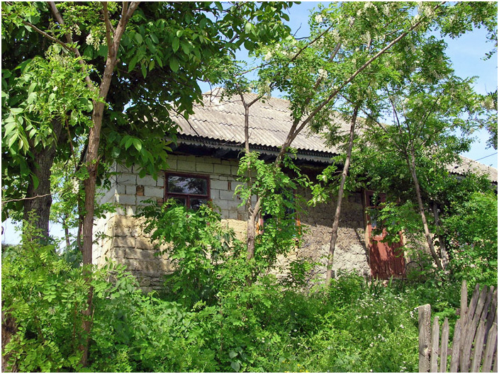 Bild "Scholtoi2008-41.jpg"