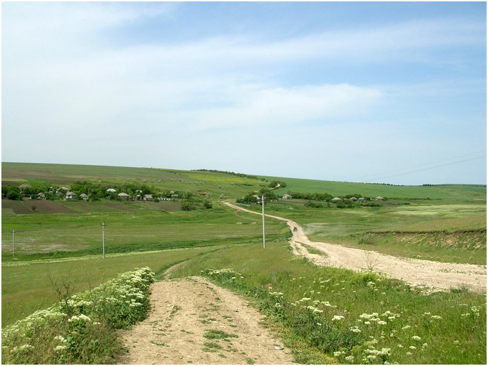 Bild "Scholtoi2008-59.jpg"