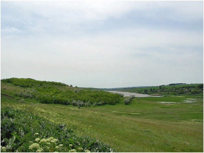 Bild "Scholtoi2008-63.jpg"