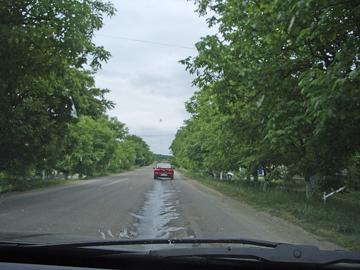 Bild "Scholtoi2009-01.JPG"