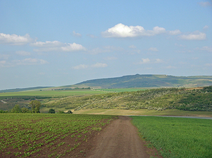 Bild "Scholtoi2009-02.JPG"