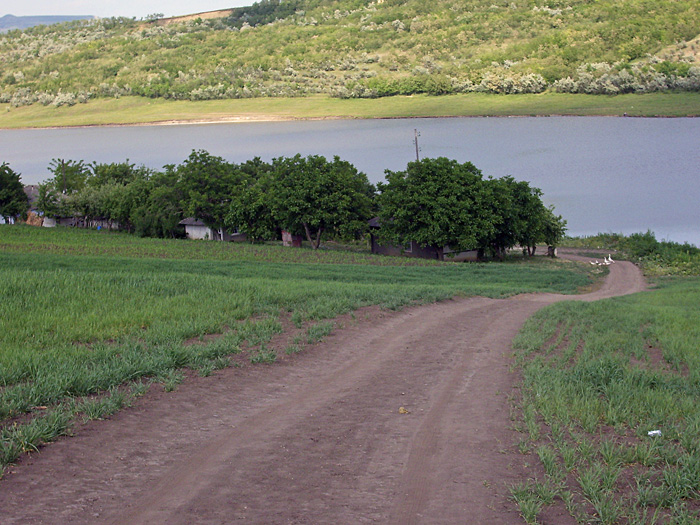 Bild "Scholtoi2009-03.JPG"