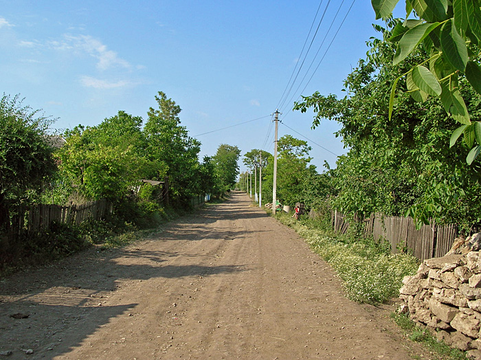 Bild "Scholtoi2009-05.JPG"