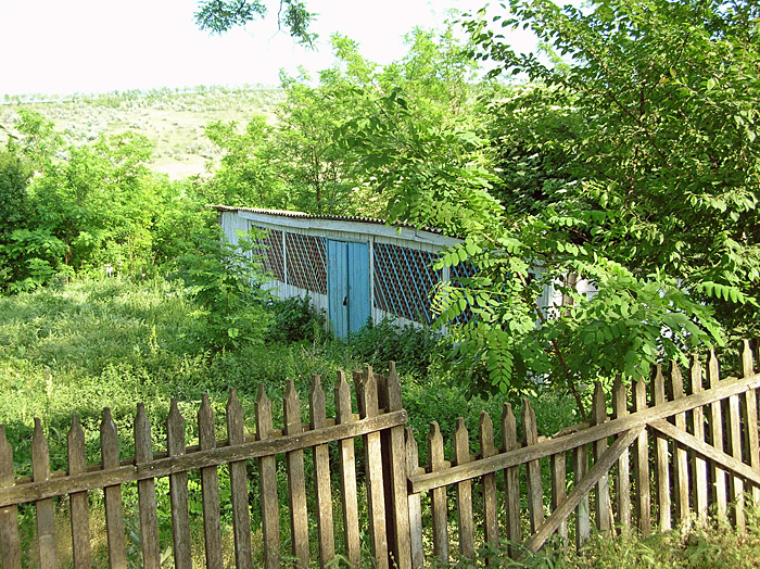 Bild "Scholtoi2009-06.JPG"