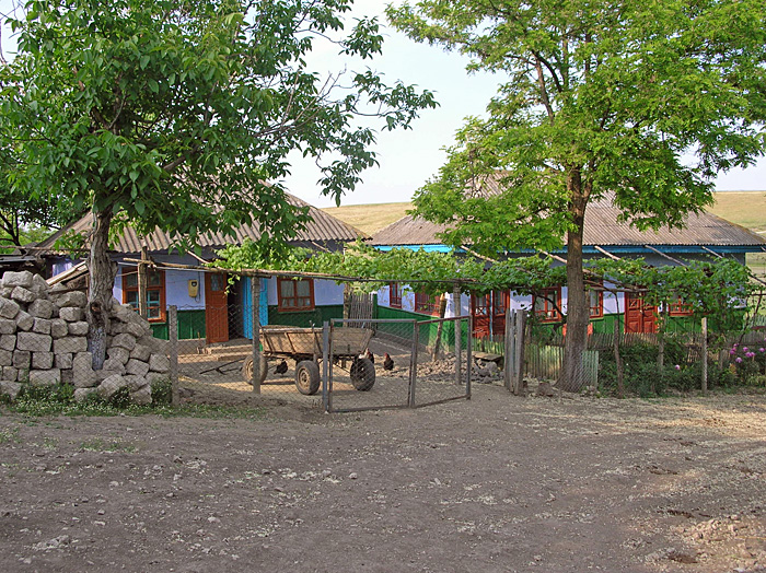 Bild "Scholtoi2009-13.JPG"