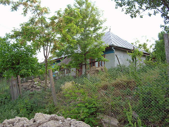 Bild "Scholtoi2009-15.JPG"