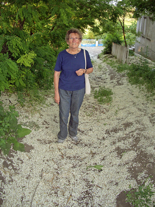 Bild "Scholtoi2009-18.JPG"