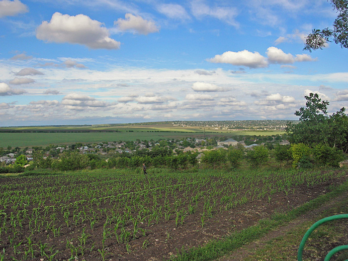 Bild "Scholtoi2009-31.JPG"