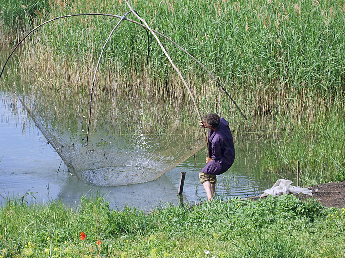 Bild "Scholtoi2009-45.JPG"