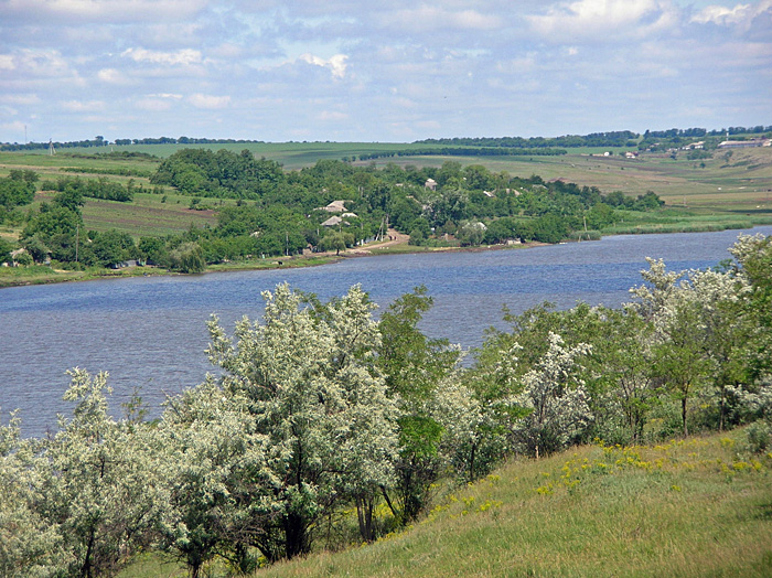 Bild "Scholtoi2009-50.JPG"