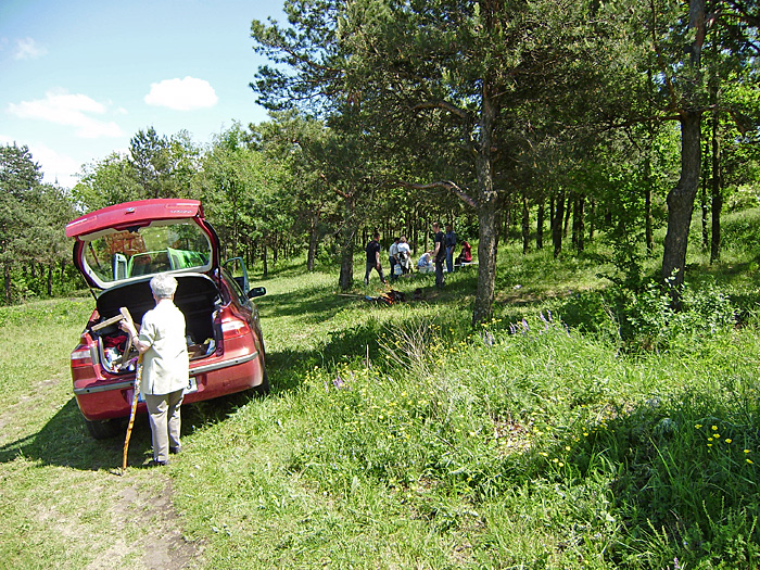 Bild "Scholtoi2009-58.JPG"