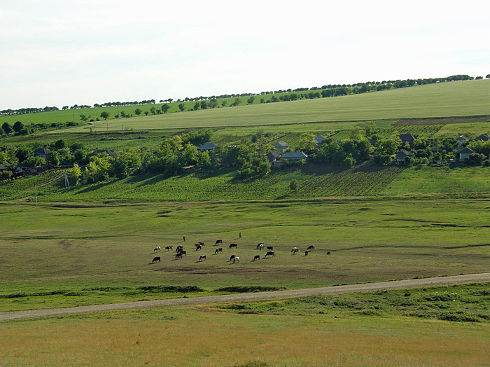 Bild "Scholtoi2009-65.JPG"