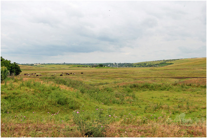 Bild "Scholtoi2013-05.JPG"