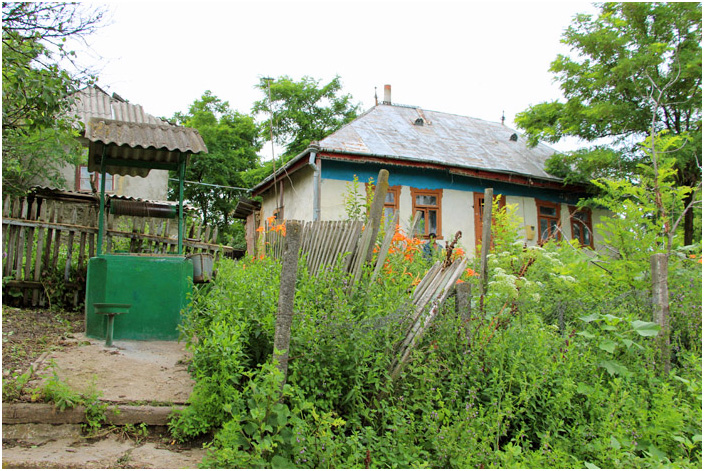 Bild "Scholtoi2013-10.JPG"