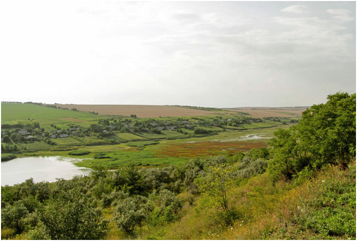 Bild "Scholtoi2013-102.JPG"