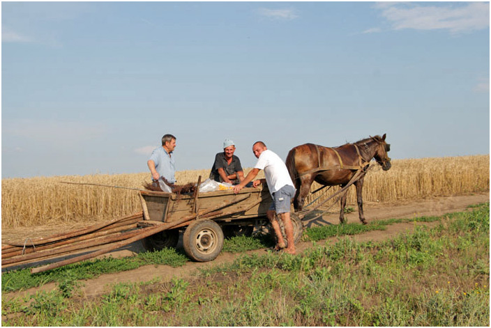 Bild "Scholtoi2013-103.JPG"