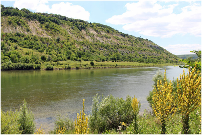 Bild "Scholtoi2013-40.JPG"