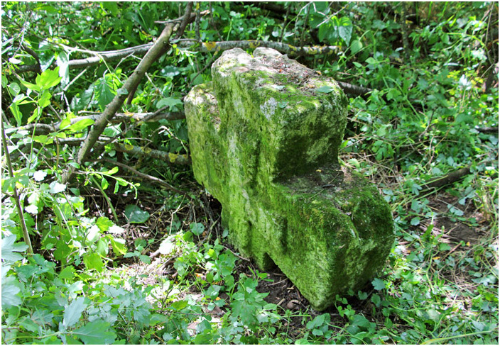 Bild "Scholtoi2013-46.JPG"