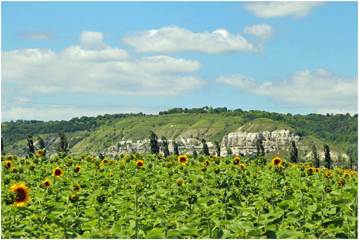 Bild "Scholtoi2013-47.JPG"