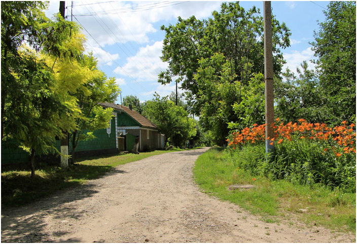 Bild "Scholtoi2013-48.JPG"