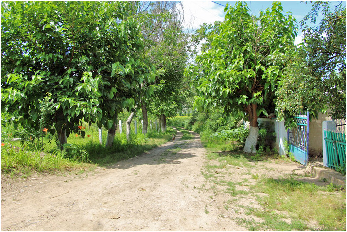 Bild "Scholtoi2013-49.JPG"