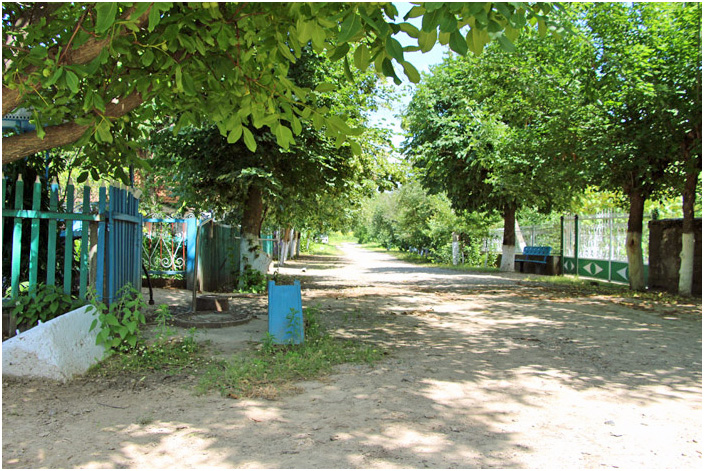 Bild "Scholtoi2013-50.JPG"