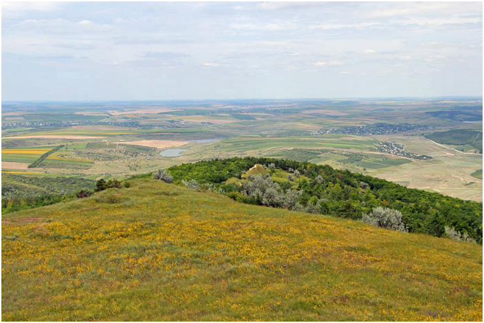 Bild "Scholtoi2013-65.JPG"