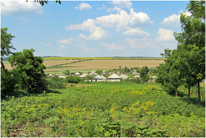 Bild "Scholtoi2013-84.JPG"