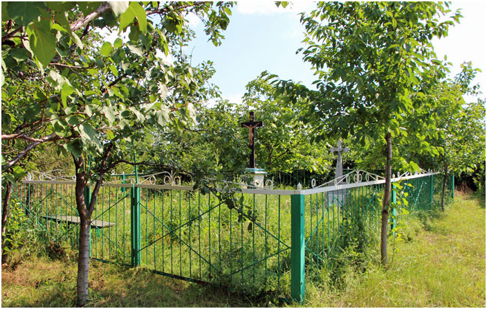 Bild "Scholtoi2013-86.JPG"