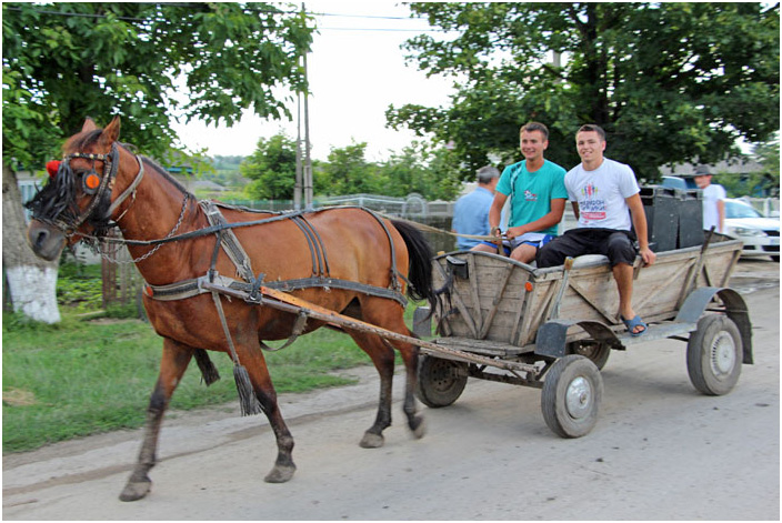 Bild "Scholtoi2013-98.JPG"